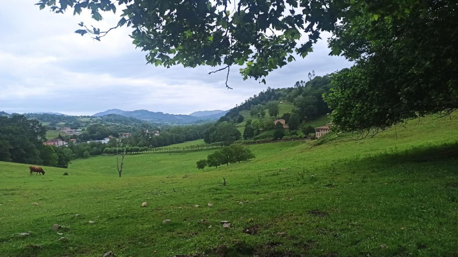 Casa Rural La Collada Sorribas  Exteriör bild